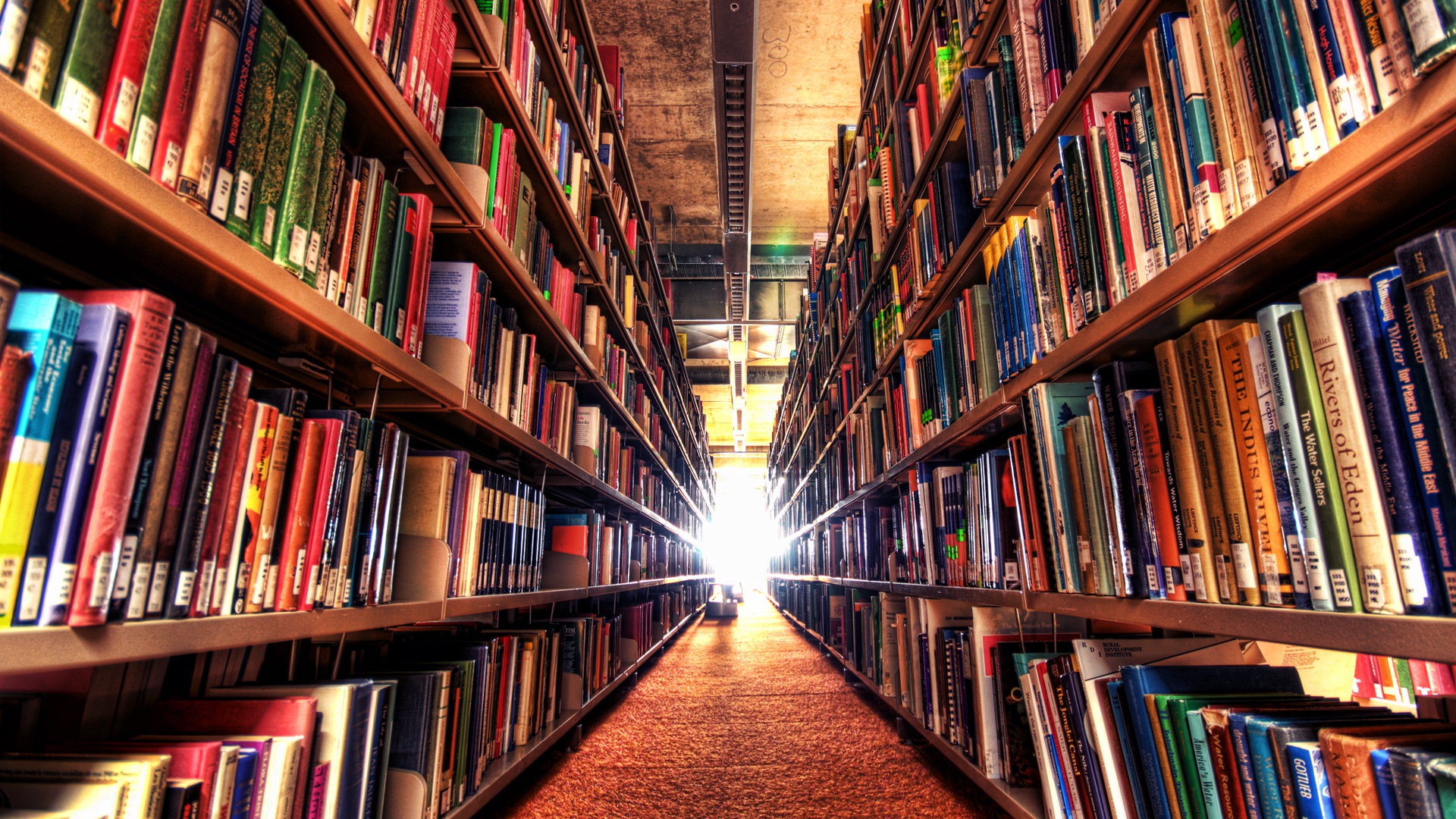 biblioteca